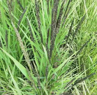 ScreenShot_2026-03-18_172654_679