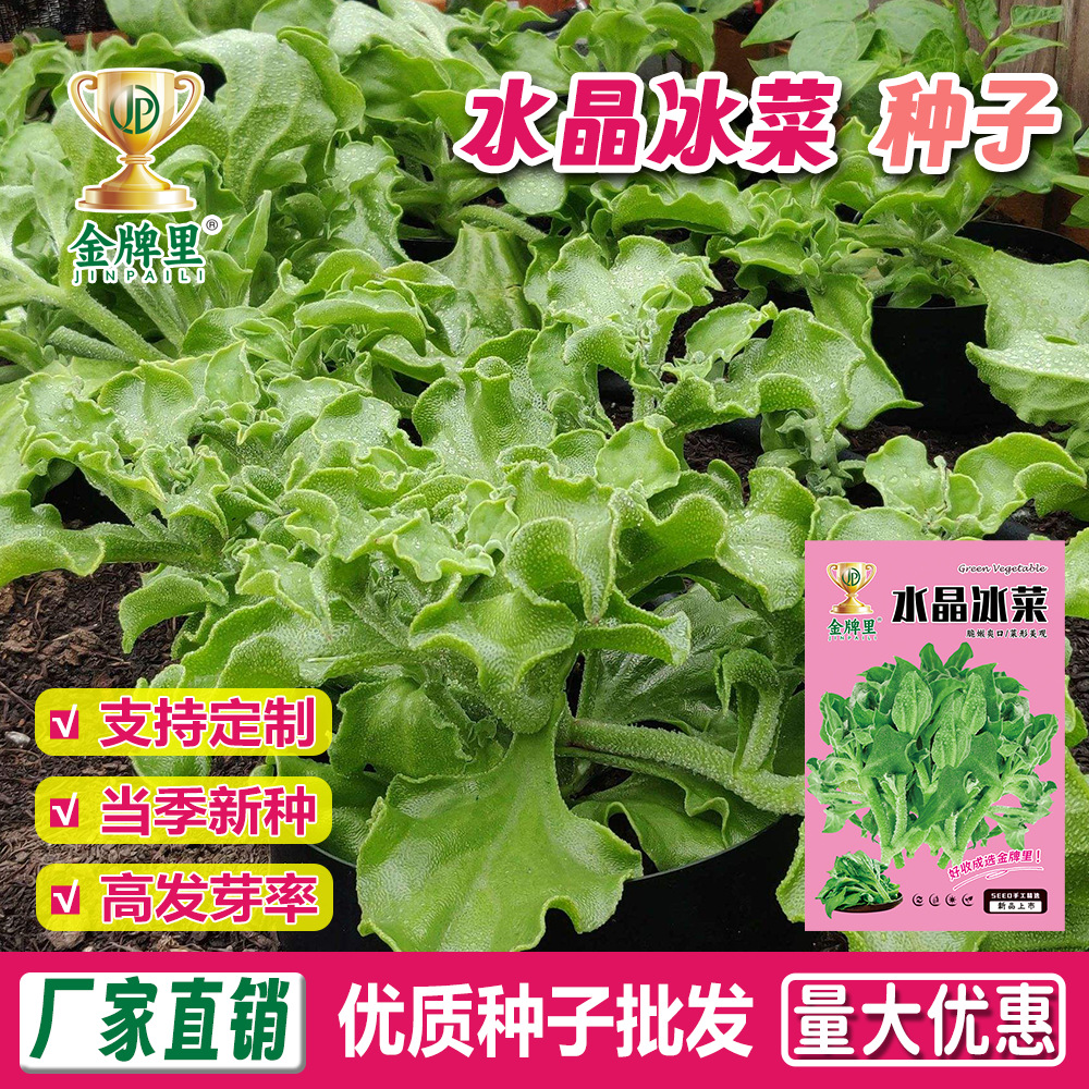 O1CN012Z0n2B2FFMIcURbtK_!!2218103488850-0-cib