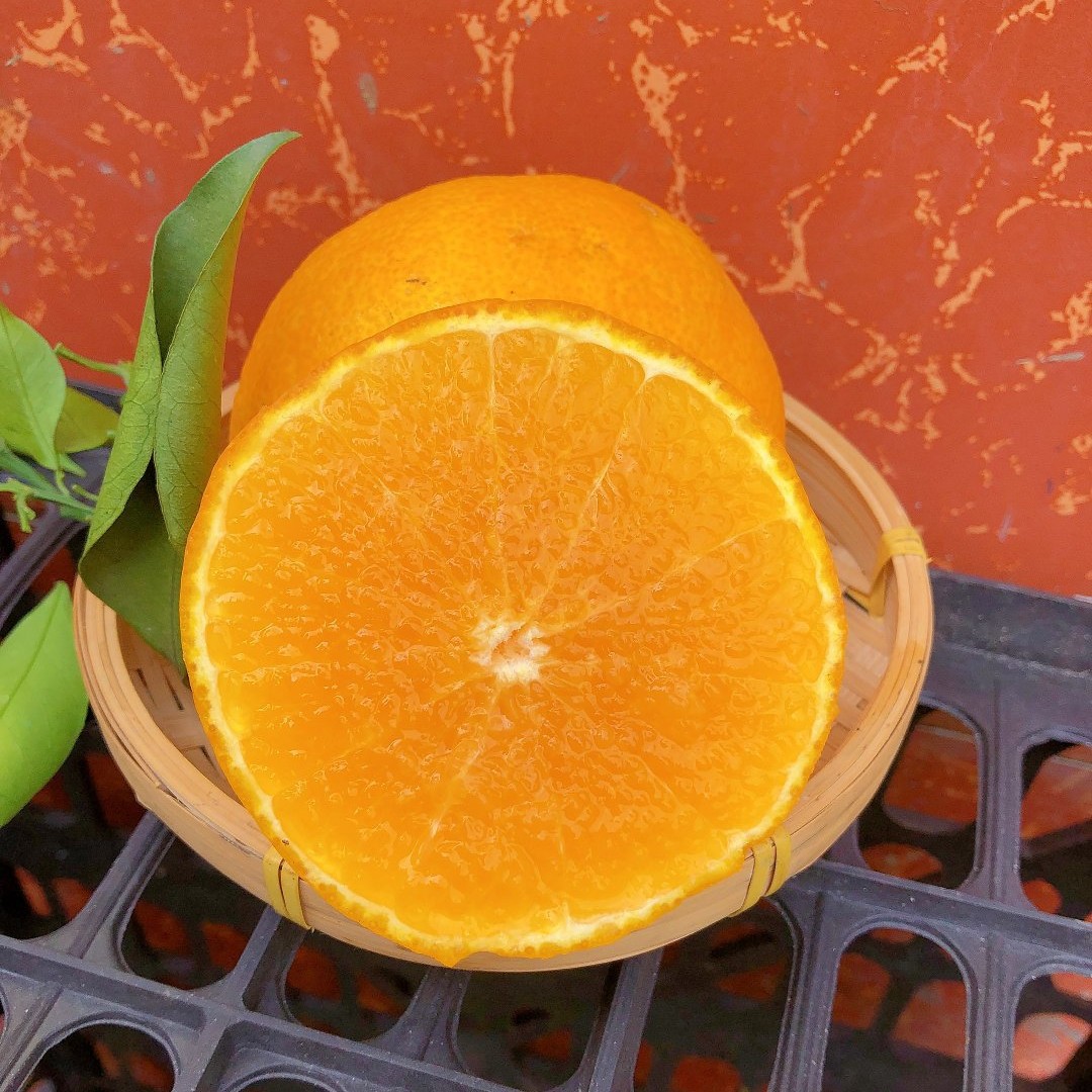 O1CN01OUNnqs2GDoYPyivun_!!2693248982-0-cib