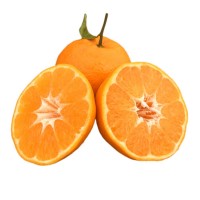 四川春見耙耙柑新鮮水果當季整箱正宗橘子丑柑橘耙耙柑桔大果包郵