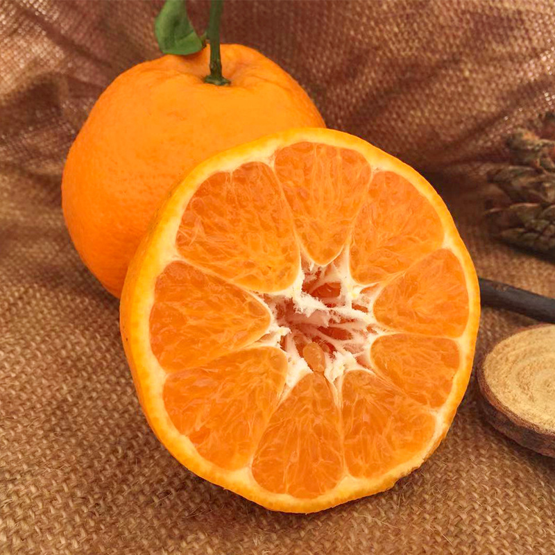 10169429439_1421287580