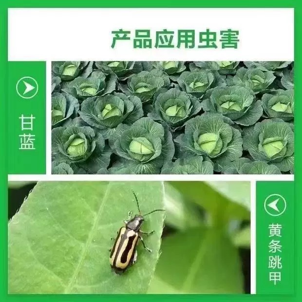 O1CN01XKOlBH1OXWEkLwZ7l_!!2217282761715-0-cib