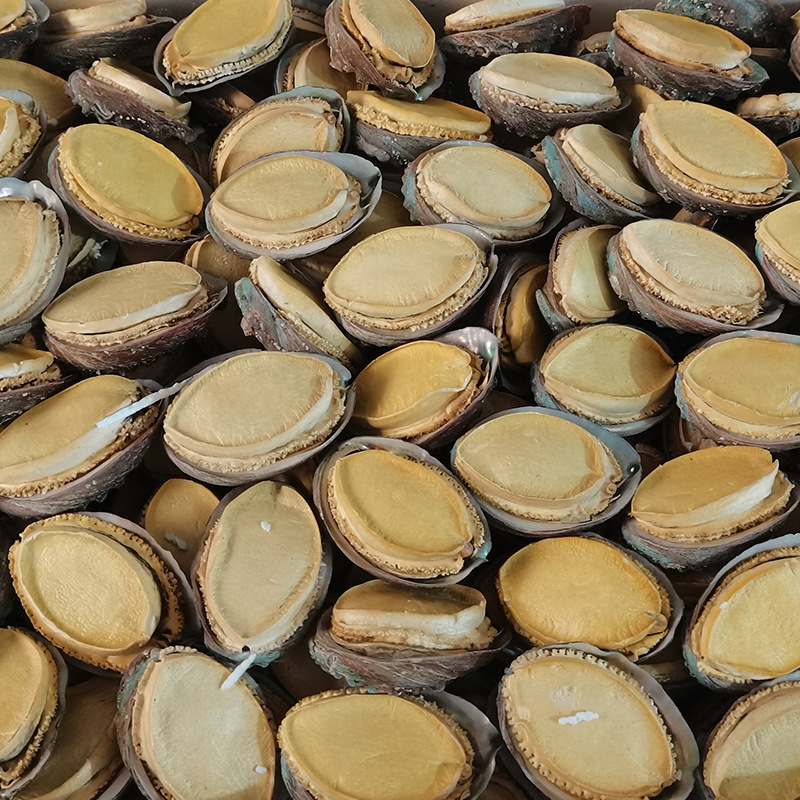 O1CN01pFGqV52JuoO6CxKv3_!!2216366779482-0-cib