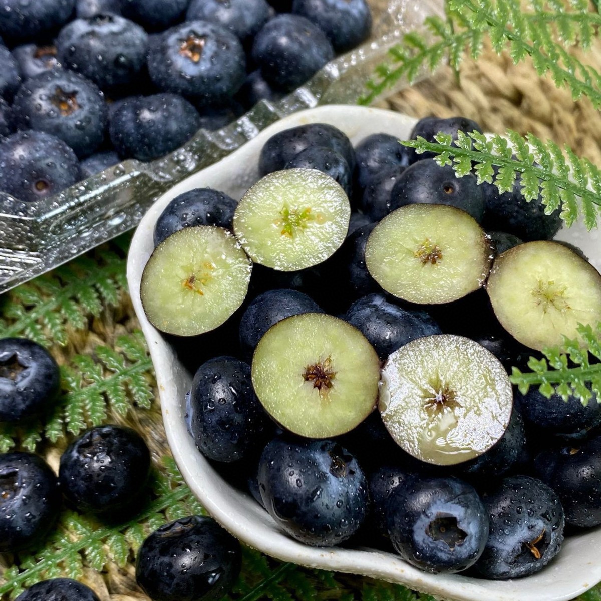 O1CN01kpM7E21GzRVN1JA5a_!!2208516000693-0-cib