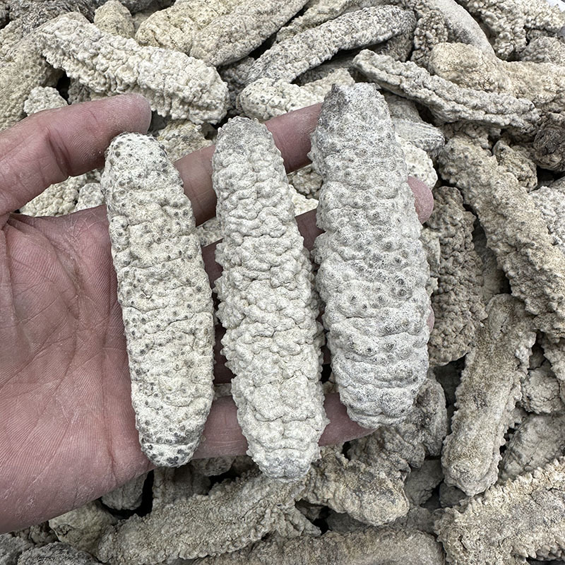 O1CN01BewBgE1exeVgO80ur_!!2215177883938-0-cib