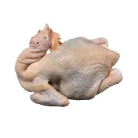 廣西玉林三黃雞商用土雞整箱雞肉白條雞冷凍整雞批發(fā)