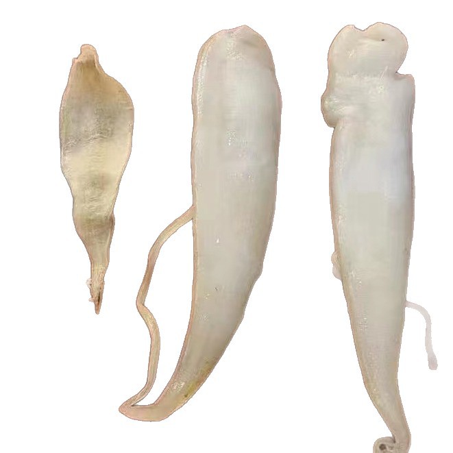 O1CN01vhn3WP1GAbbz46NCO_!!2220911040582-0-cib