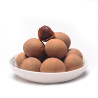 代發莆田桂圓干大果新貨袋裝大雙A批發福建特產小核厚肉龍眼桂圓