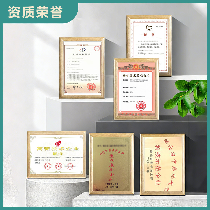 O1CN01QMql6h2Cv5XNuuwOj_!!2219584298535-0-cib (1)