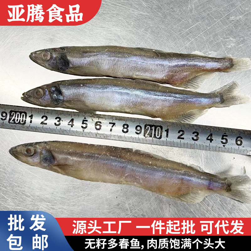 O1CN01jsE2Np1ERtD3wACZ1_!!2215651050349-0-cib