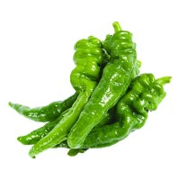 香辣螺絲椒種子高產大果青辣椒種籽春四季陽臺盆栽蔬菜種孑苗大全