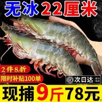 包郵冷凍大速凍青島基圍蝦蝦鮮活蝦海蝦鹽凍青蝦0海鮮水產(chǎn)包裝