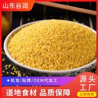 熟小米5斤裝香糯小米五谷雜糧粥粗糧小米現貨五谷雜糧廠家批發