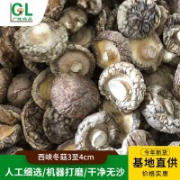 西峽冬菇3至4cm香菇干貨肉厚無根新鮮干香菇細選冬菇小蘑菇批發(fā)