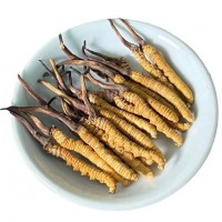 西藏那曲冬蟲(chóng)夏草干貨蟲(chóng)草禮盒裝凍干精選足干送禮高營(yíng)養(yǎng)