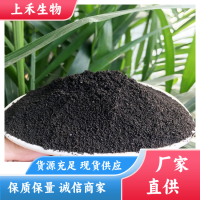 育苗基質專用 發(fā)酵純羊糞 肥效久不燒苗 土地整改項目專用 廠家供應