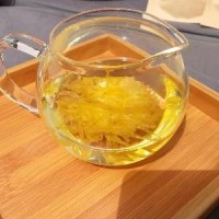 金絲皇菊批發(fā)
